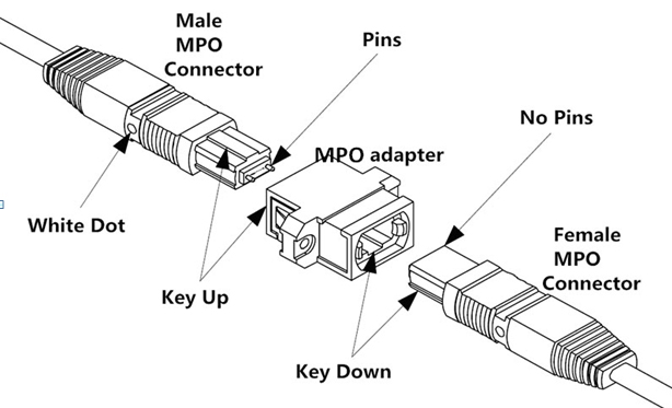 Simple Rules for Beginners to Learn about MPO Patch Cords or MTP